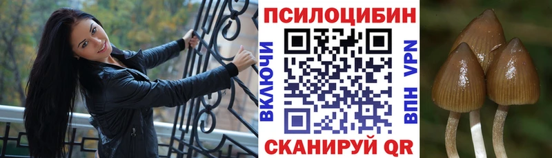 купить закладку Галич сайты даркнета как зайти Галлюциногенные грибы Psilocybine cubensis